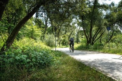 Trasa rowerowa